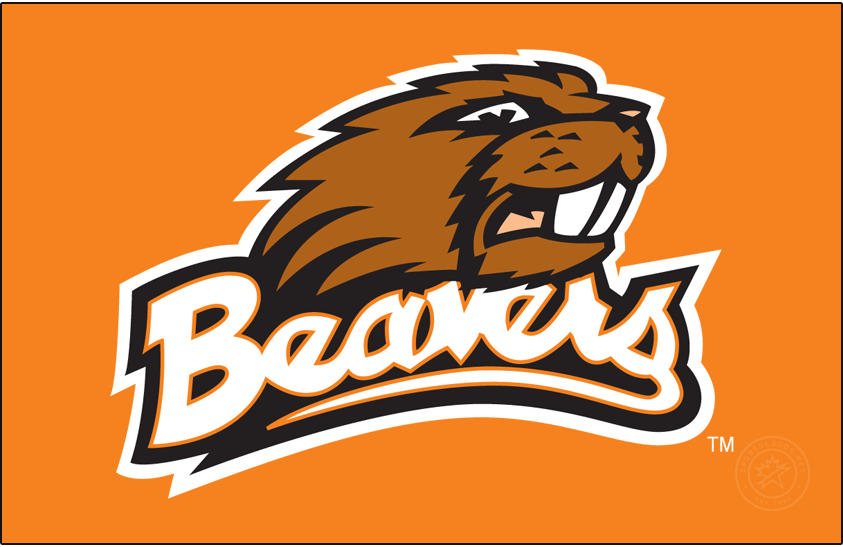 Oregon State Beavers 1998-2006 Primary Dark Logo diy iron on heat transfer